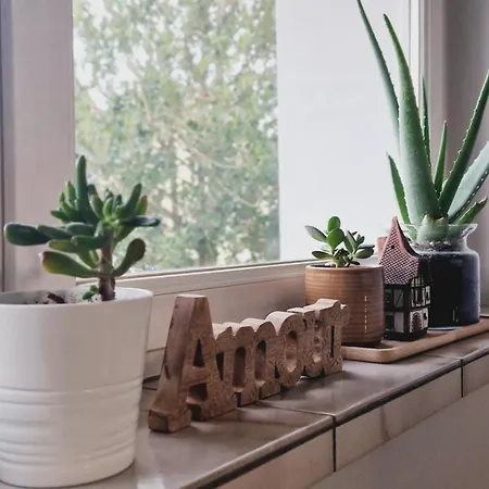 La Maison Des Petits Bonheurs *